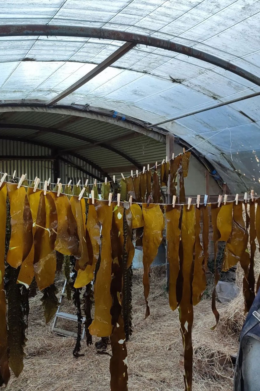 Seaweed Sustainable Fashion Clothing UK Streetwear Runway Spring Summer 2023 Seaside Water Design Designer