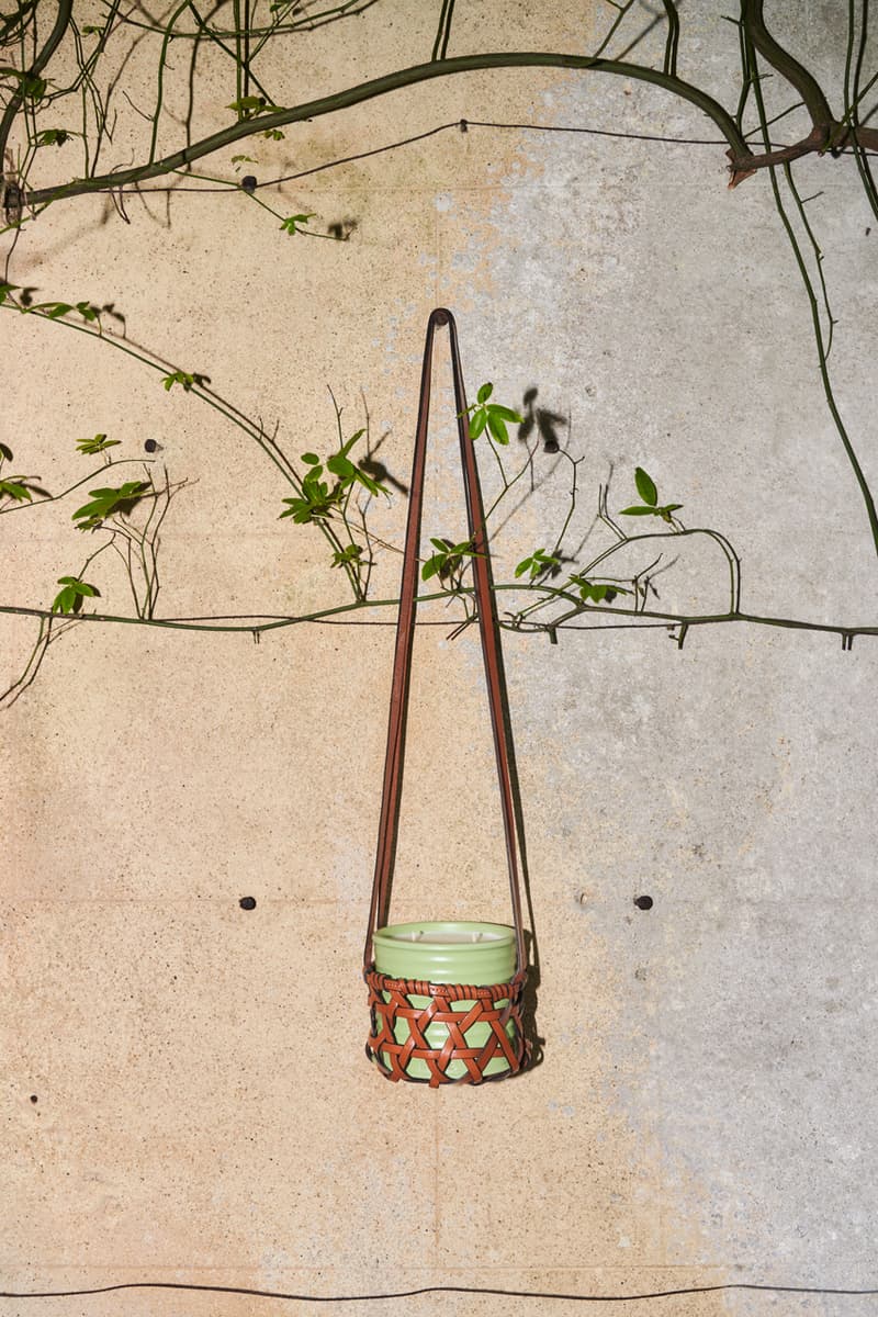 loewe releases floral home scents campaign charlie mccormick flowers garden orange blossom thyme geranium