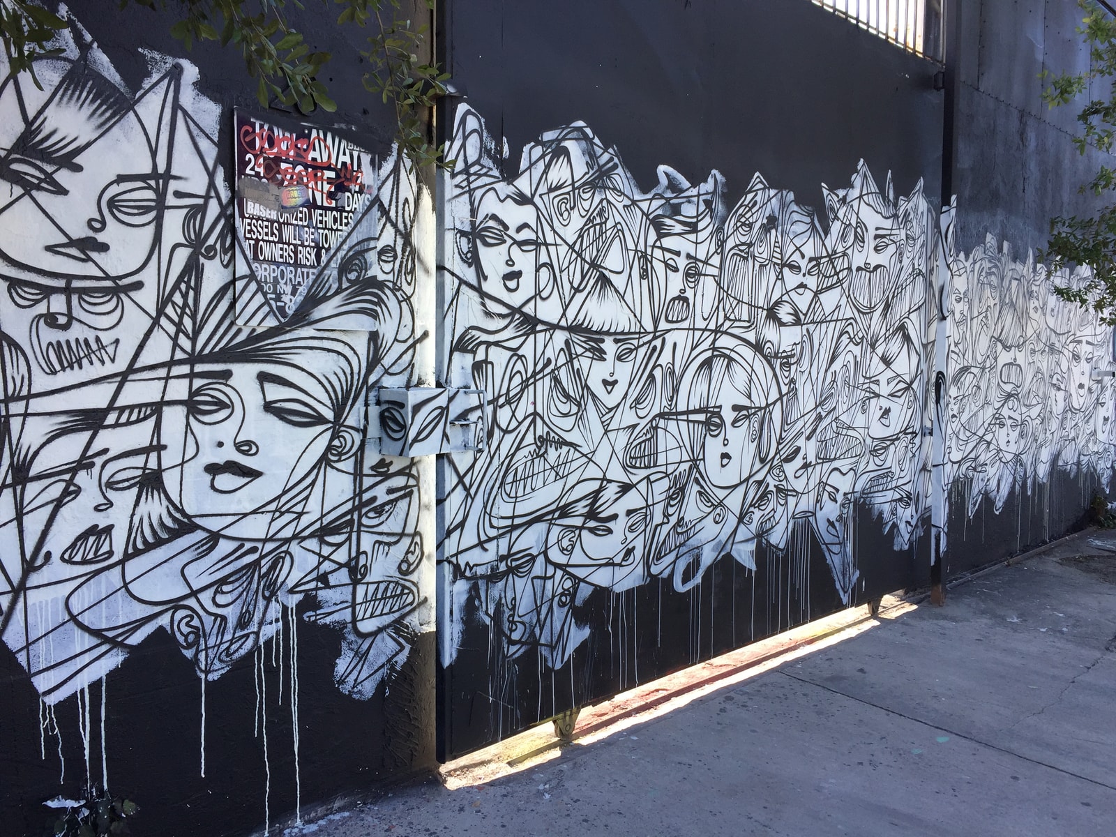 ARTIST OF THE WEEK: STEPHEN PALLADINO