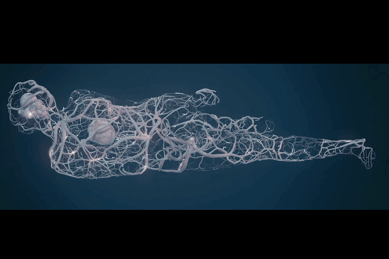 Music, Klyne, Pop, MV, Alternative, Holland, Visual