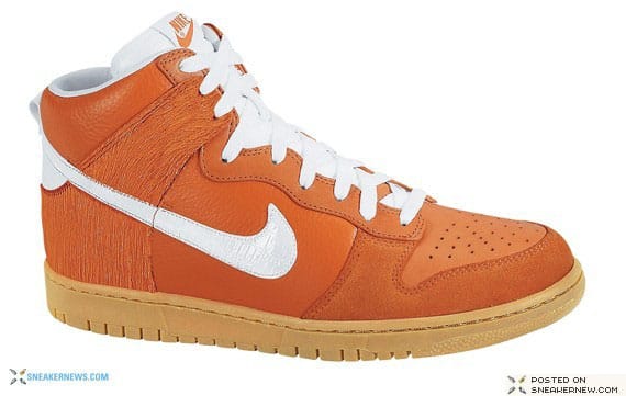 nike dunk 2008