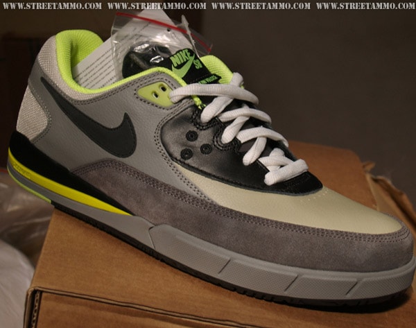 Nike SB 2009 Spring Collection Footwear Preview 