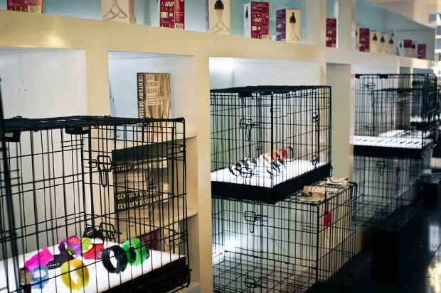 Dezeen Watch Pop-Up Store