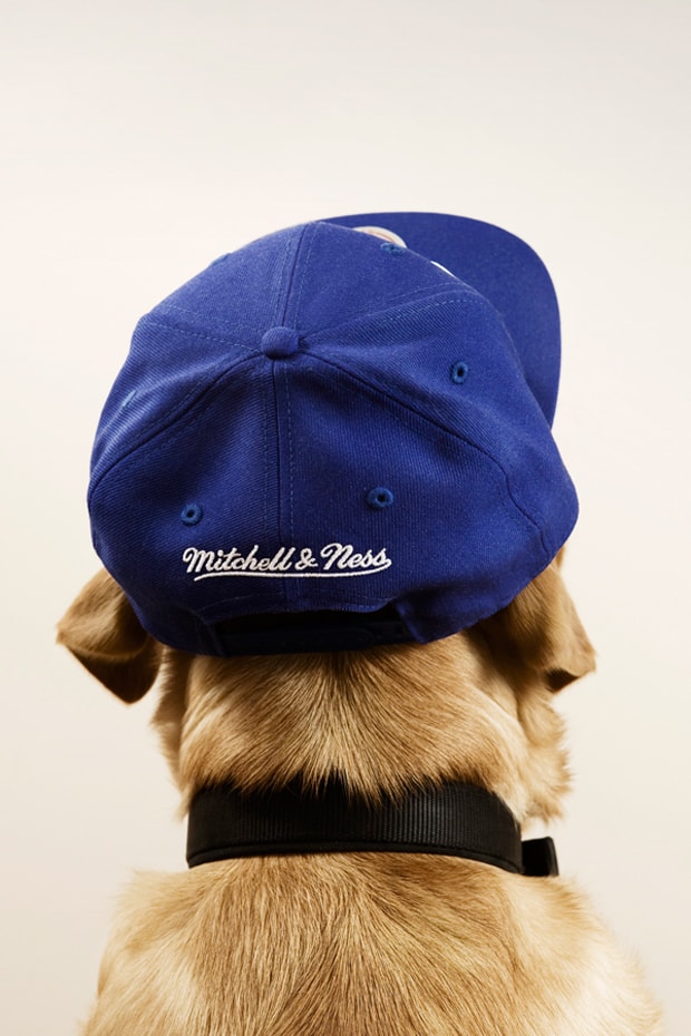 The Chimp Store Chimptown Dogs Editorial Hypebeast
