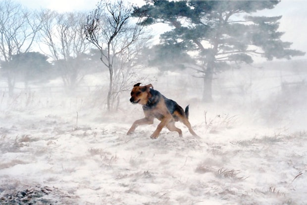 Vice Magazine 10th Annual Photo Issue