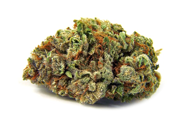 The Daily Cannabis Guide カンナビスの正しい品種を求めて Hypebeast Jp The Daily Cannabis Guide カンナビスの正しい品種を求めて Hypebeast Jp