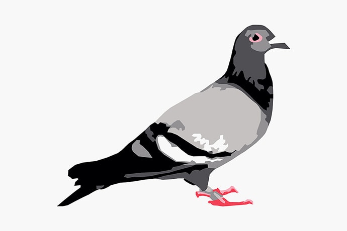 The Hidden Meaning Behind 10 Streetwear Logos