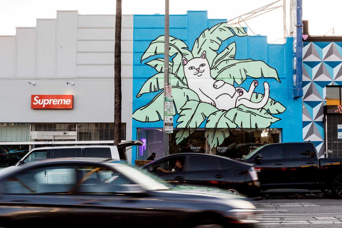 5 Best Design-Led Retail Stores for Summer 2016