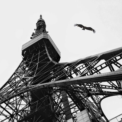 Instagramの投稿1万点を展示するSHiKAKUi PHOTO AWARDS