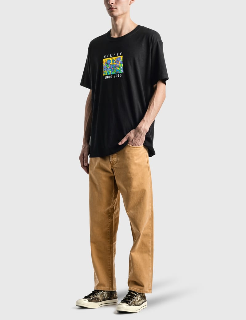 stussy irises t shirt