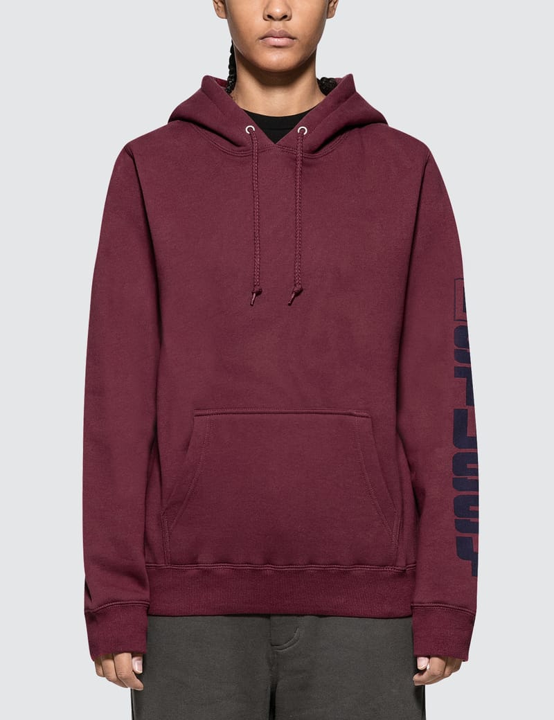 stussy sierra hoodie