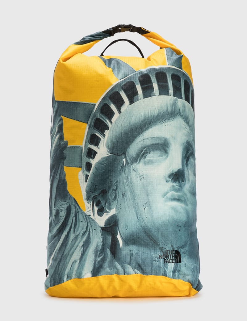 aevor daypack proof rose