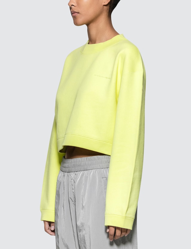 Alexander Wang T Heavy French Terry Cropped Pullover Hbx