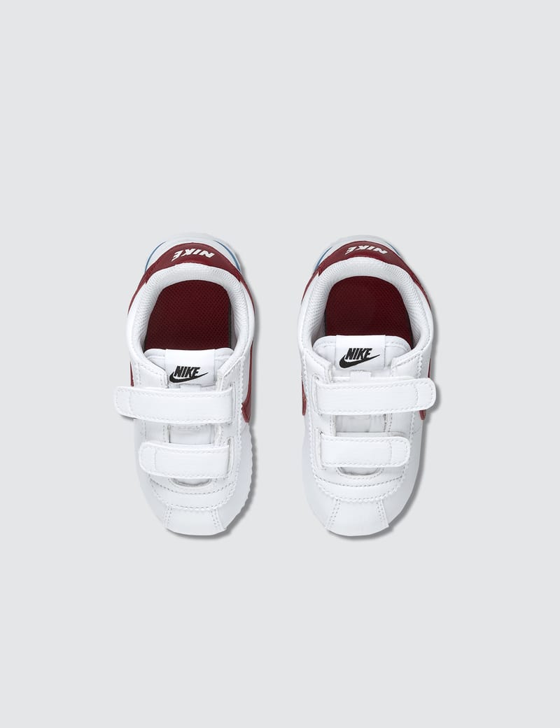 cortez basic sl tdv