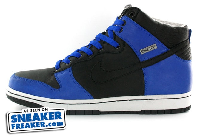 Nike Gore-tex Dunk High