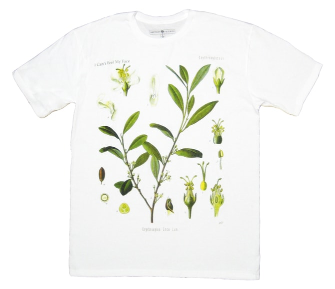 Amongst Friends 2008 Spring Collection