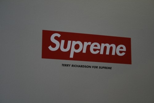 Terry Richardson x Supreme x Kermit the Frog Exhbition at Colette