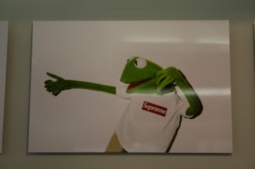 Terry Richardson x Supreme x Kermit the Frog Exhbition at Colette