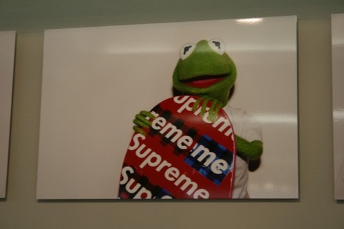 Terry Richardson x Supreme x Kermit the Frog Exhbition at Colette