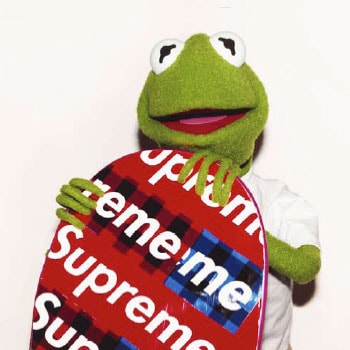 Terry Richardson x Supreme x Kermit the Frog