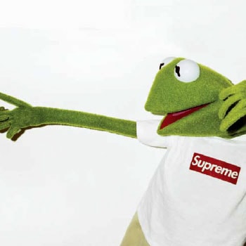 Terry Richardson x Supreme x Kermit the Frog
