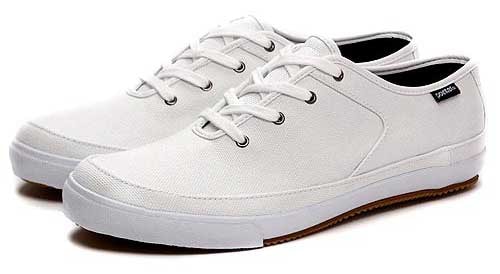 Pointer 2008 Spring/Summer Collection