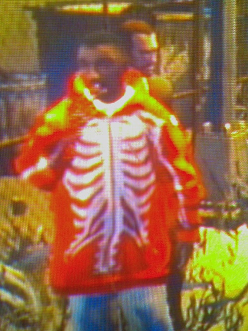LRG Dead Serious Hoodie in Grand Theft Auto IV