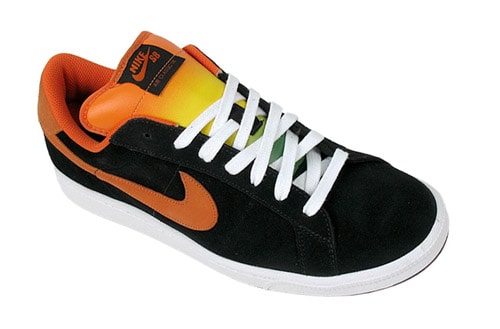 Public Domain x Nike SB Zoom Air Classic