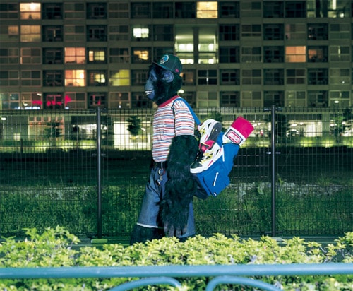 XLarge 2008 Summer Collection
