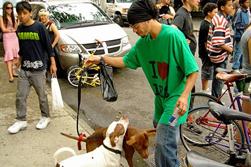 Bicycle Film Festival 2008 - New York