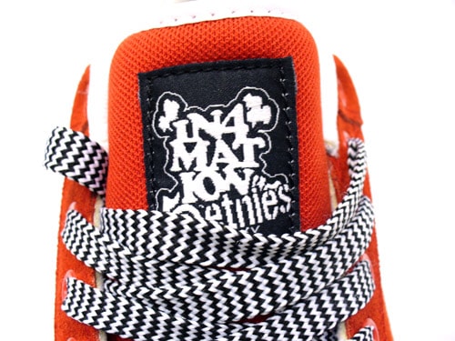 In4mation x Etnies Sal 23