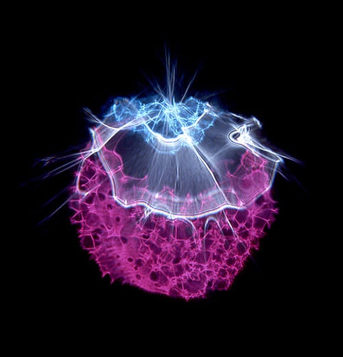 Alan Jaras Photography of Light