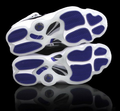 Nike Air Jordan 6 Rings Concord