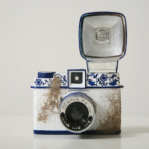 Dorophy Tang Lomography Diana Camera