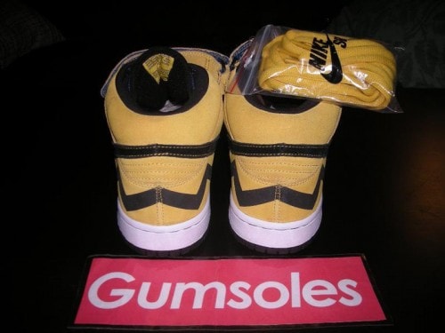 Nike SB Dunk Spring 2009 
