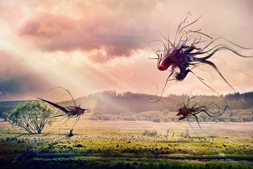 Artist Profile: Adam Spizak