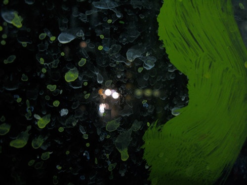 José Parlá Adaptation and Translation Exhibition Preview