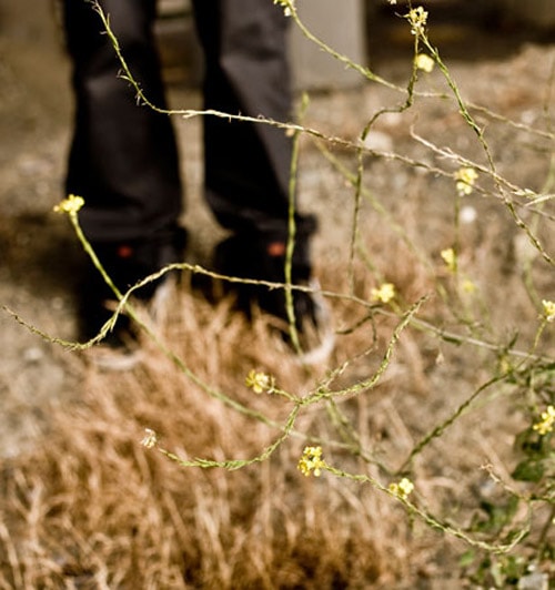 Goods 2008 Fall/Winter Collection