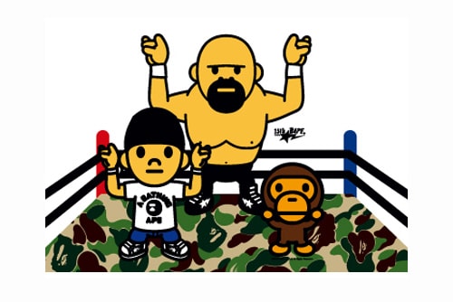 Nigo's Favorite Shop Bape 15th Anniversary Bapesta Pro Wrestling