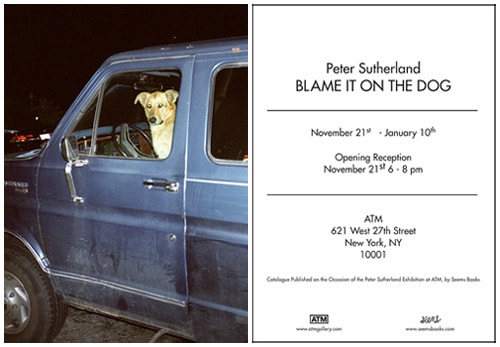 Peter Sutherland - Blame It On The Dog Exhibition