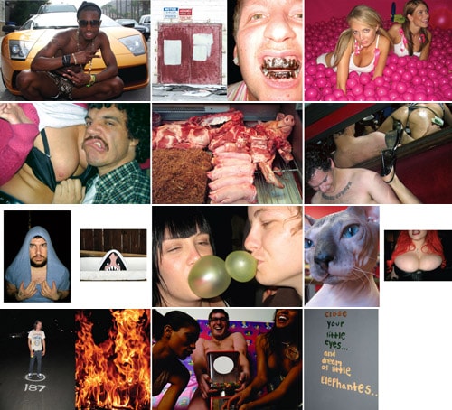 TOFER | Vacation Standards Book
