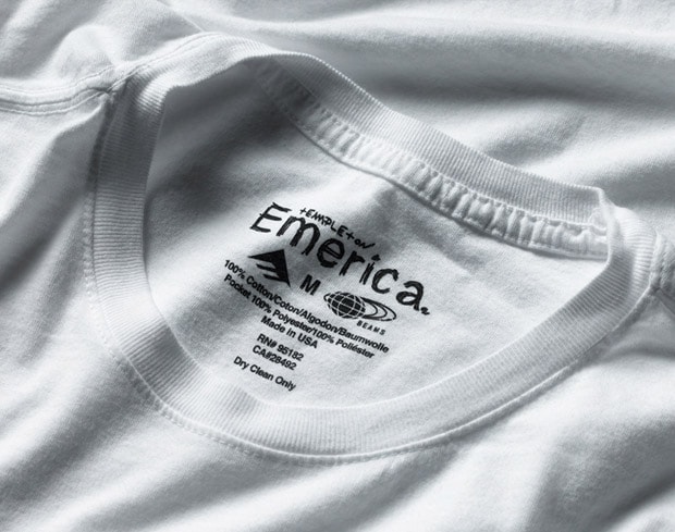 ed-templeton-beams-emerica-1