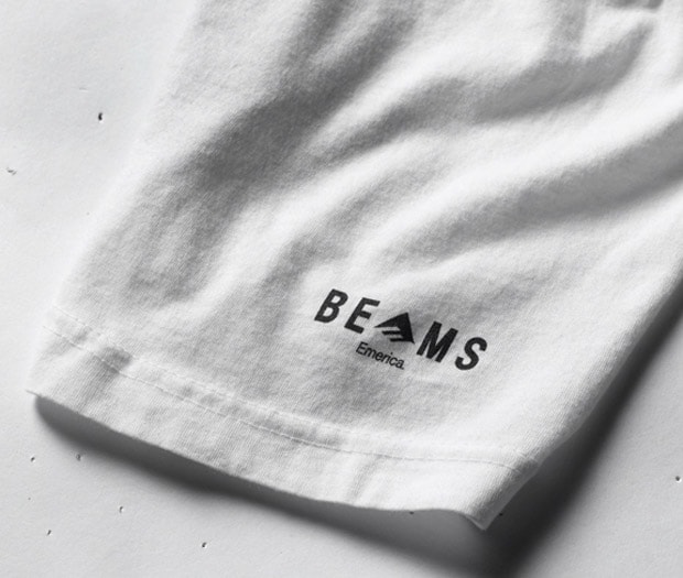 ed-templeton-beams-emerica-1