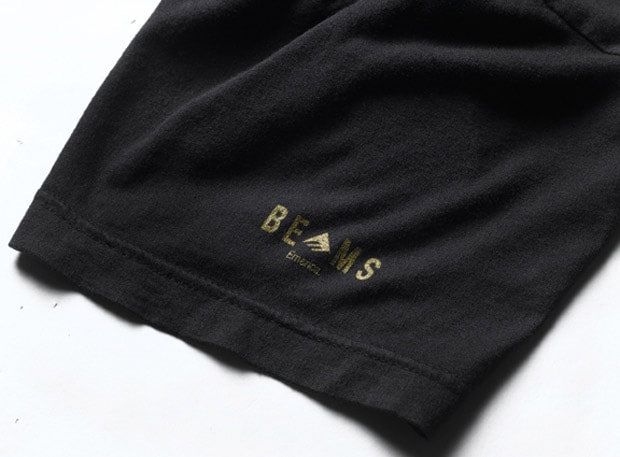 ed-templeton-beams-emerica-1