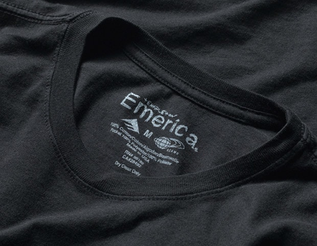 ed-templeton-beams-emerica-1