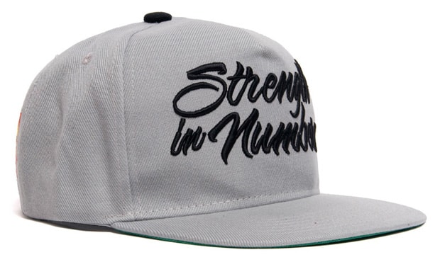 the-hundreds-2009-summer-snapbacks-1