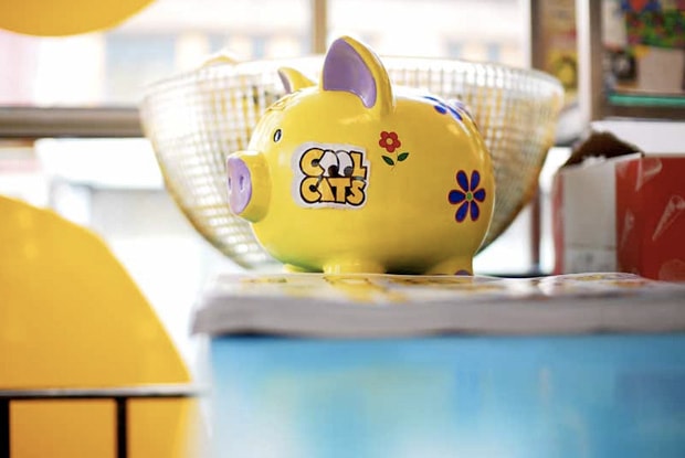 Cool Cats Yellow Store Busy P Air Force 1 Release Recap