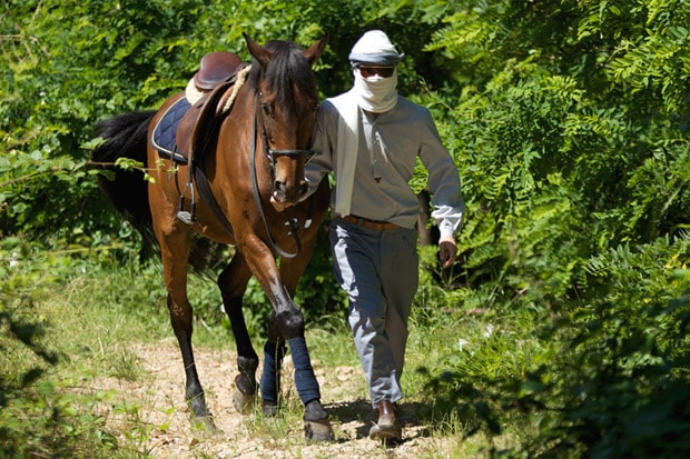 camo-2010-spring-summer-horses