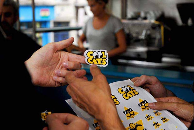 cool-cats-yellow-pop-up-store