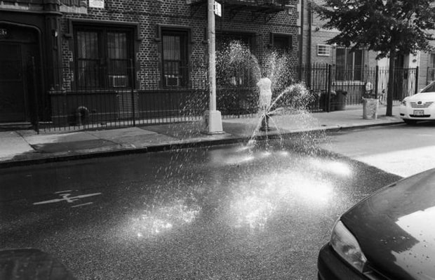rip-zinger-new-york-city-book-preview